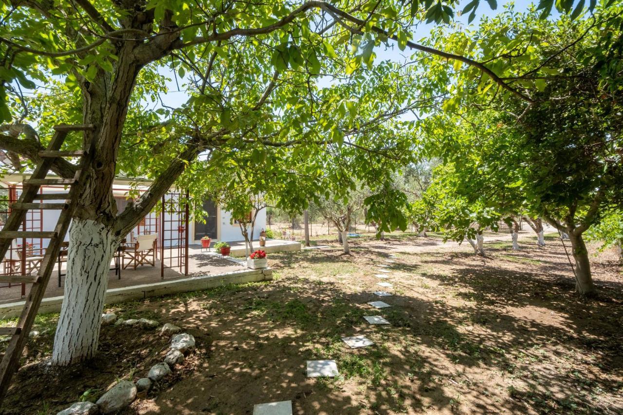 Nagia's House, Εξοχική κατοικία κοντά στη θάλασσα! Κορακοχώρι Εξωτερικό φωτογραφία