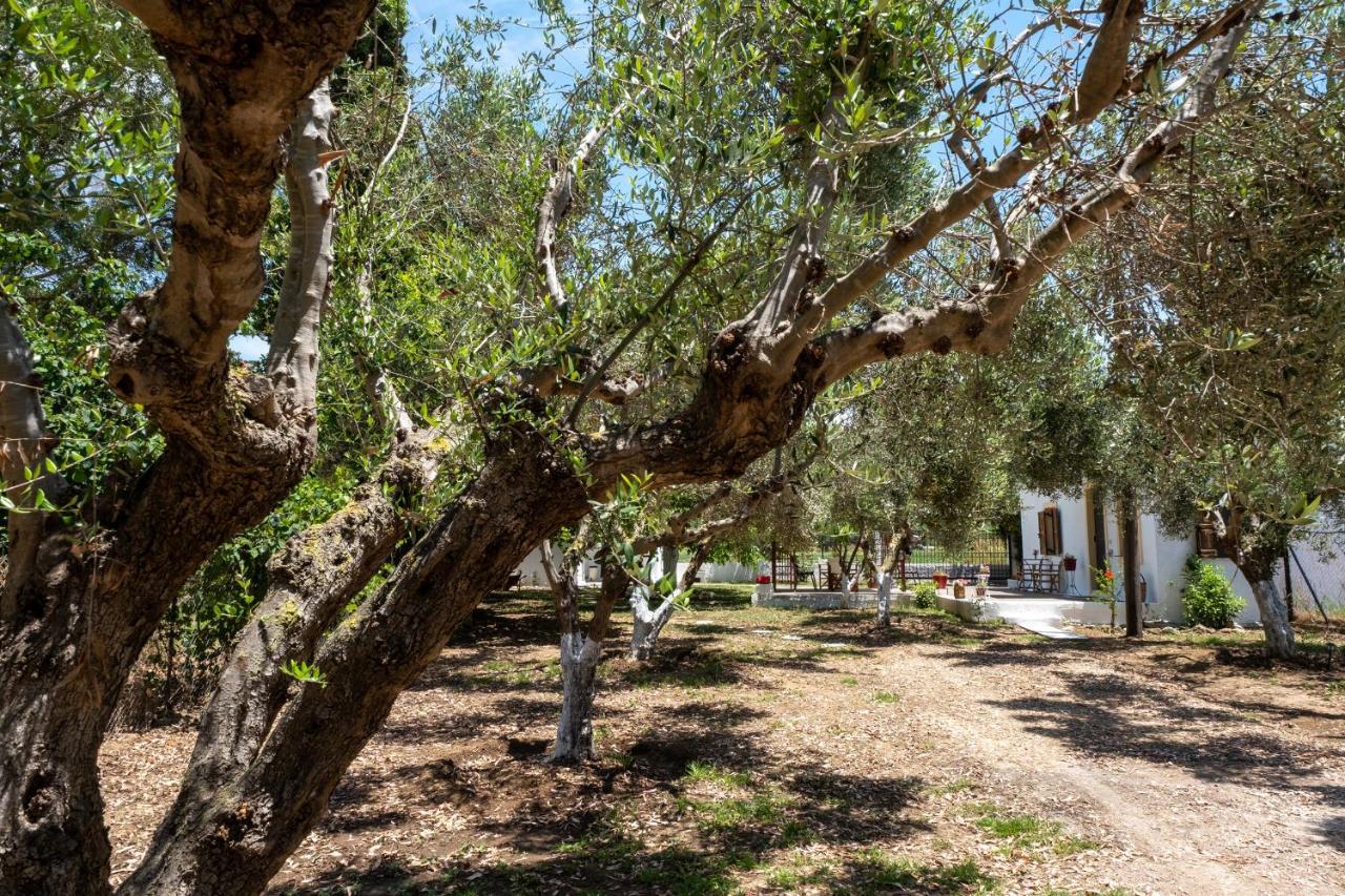 Nagia's House, Εξοχική κατοικία κοντά στη θάλασσα! Κορακοχώρι Εξωτερικό φωτογραφία