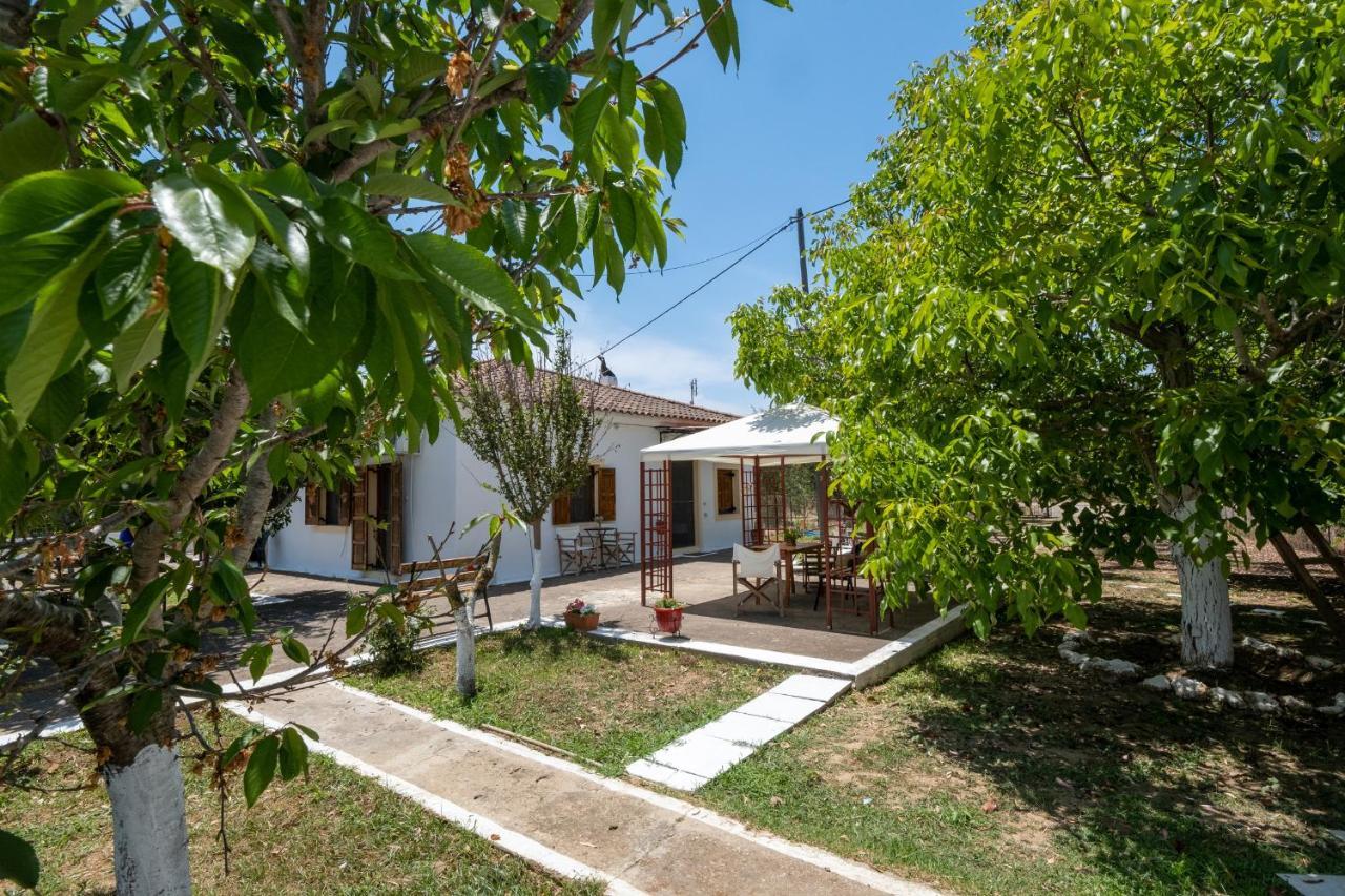 Nagia's House, Εξοχική κατοικία κοντά στη θάλασσα! Κορακοχώρι Εξωτερικό φωτογραφία